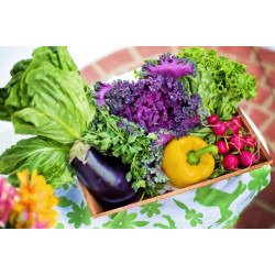 Cesta Mista de Orgânicos - MEVC Mooca