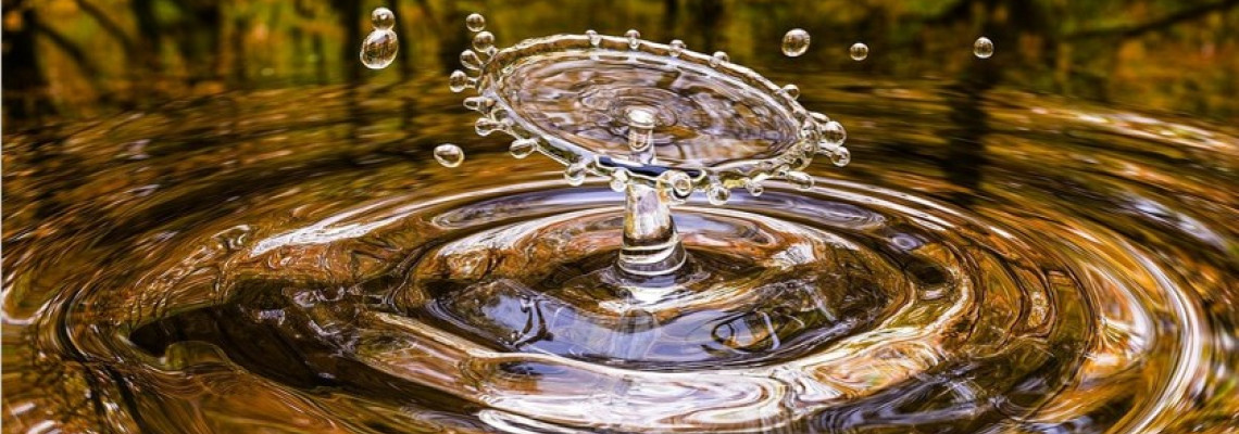 Semana da Natureza - Três dias para colocarmos em nossas Agendas