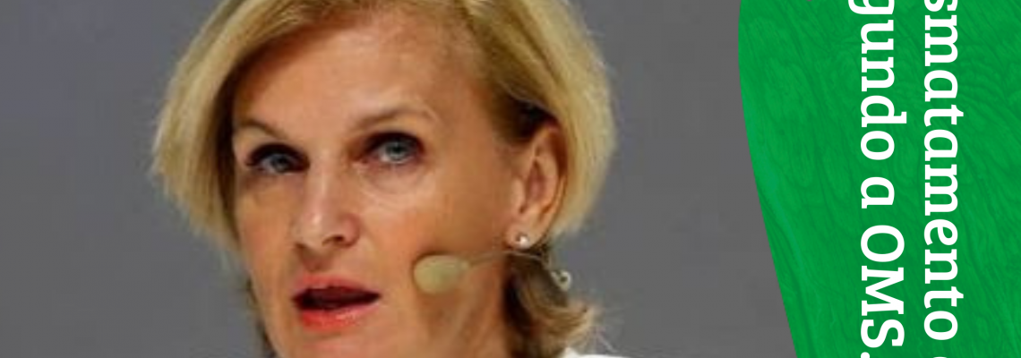 Desmatamentos e pandemias, segundo a OMS.