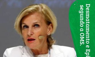 Desmatamentos e pandemias, segundo a OMS.