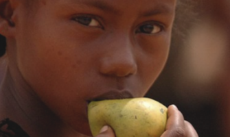 Governos devem promover a oferta de alimentos saudáveis nos equipamentos públicos