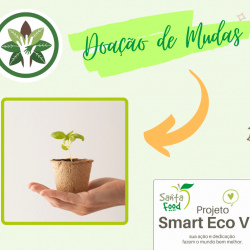 MISSÃO AMBIENTAL - Retirada Muda de Coentro Selvagem