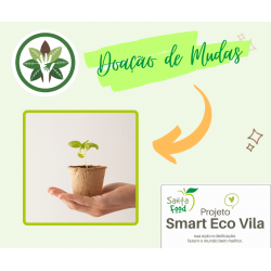 MISSÃO AMBIENTAL - Retirada Muda de Araucária