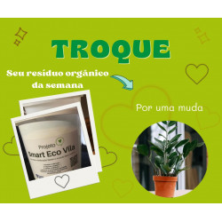 HORTA BELENZINHO - Entrega de resíduos orgânicos com doação de uma opção da horta ou jardim 