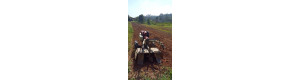 Eduardo-- PRODUZIR-6462f905456b68fcc027a42859b1446a