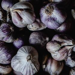 Alho Roxo Orgânico - 250g