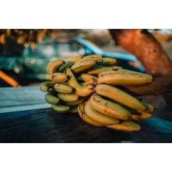 Banana da Terra Orgânica - 500g