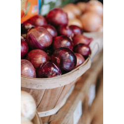 Cebola Roxa Orgânica - 500g