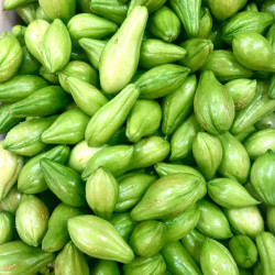 Chuchu Orgânico - 500g