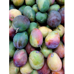 Manga tommy Orgânica - 1kg