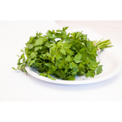 Salsinha Orgânica - maço