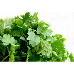 Salsa orgânica maço