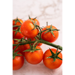 Tomate cerejão orgânico bandeja