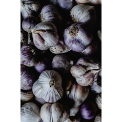 Alho Roxo Orgânico - 250g