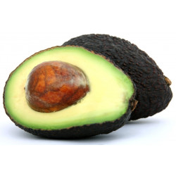 Avocado Orgânico - unidade