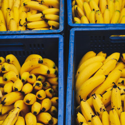 Banana Nanica Orgânica - 500g