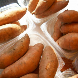 Batata Yacon Orgânica - 500g