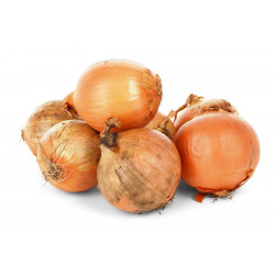 Cebola Média Orgânica - 500g