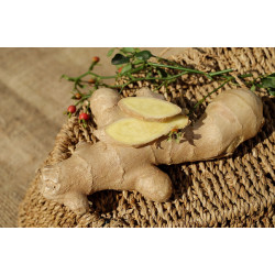 Gengibre Orgânico - 250g