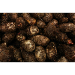 Inhame Orgânico - 500g
