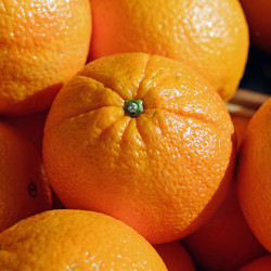 Laranja Bahia Orgânica - 500g