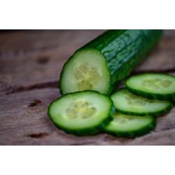 Pepino Japonês Orgânico - 500g