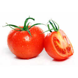 Tomate Salada Orgânico (Estufa) - 500g