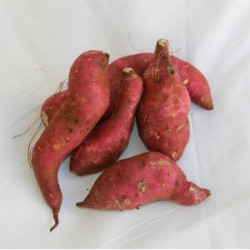 Batata doce orgânica 650g