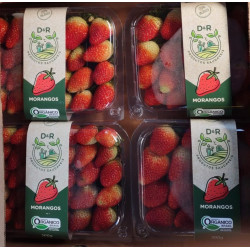 Morango orgânico bandeja 300g